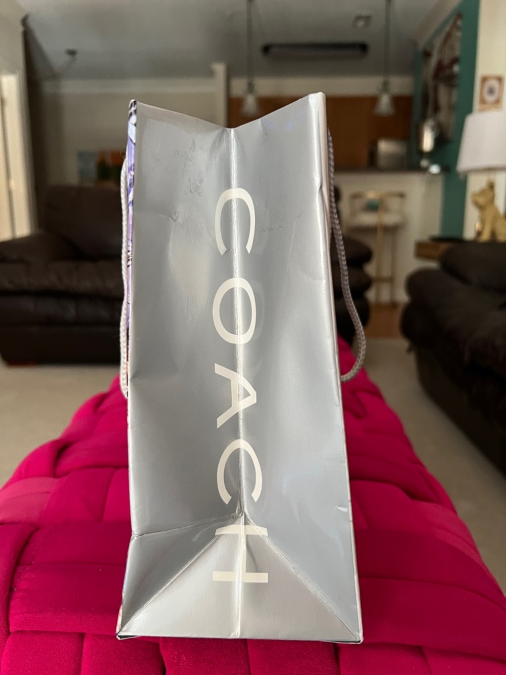 Coach 2005 Collectible Shopping Bag - Picture 3 of 8